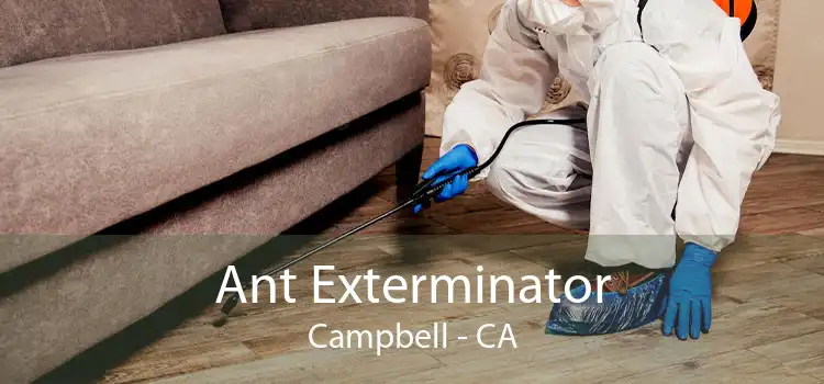 Ant Exterminator Campbell - CA