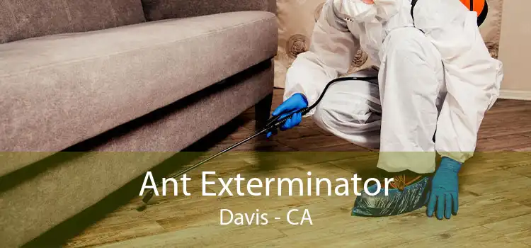 Ant Exterminator Davis - CA