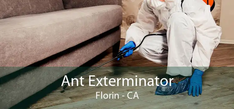 Ant Exterminator Florin - CA