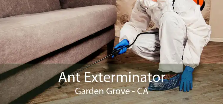 Ant Exterminator Garden Grove - CA