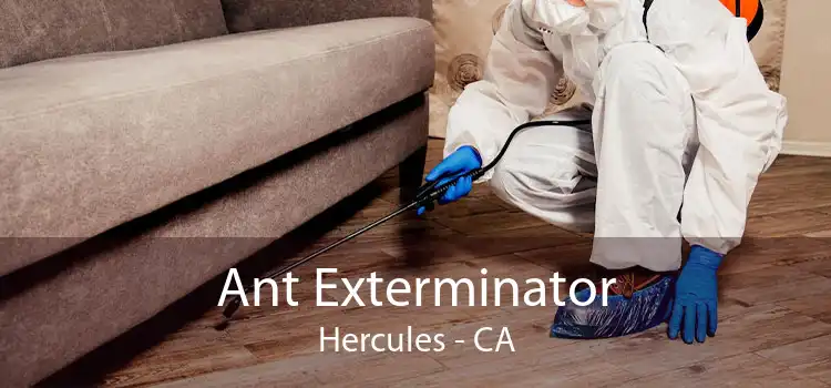 Ant Exterminator Hercules - CA