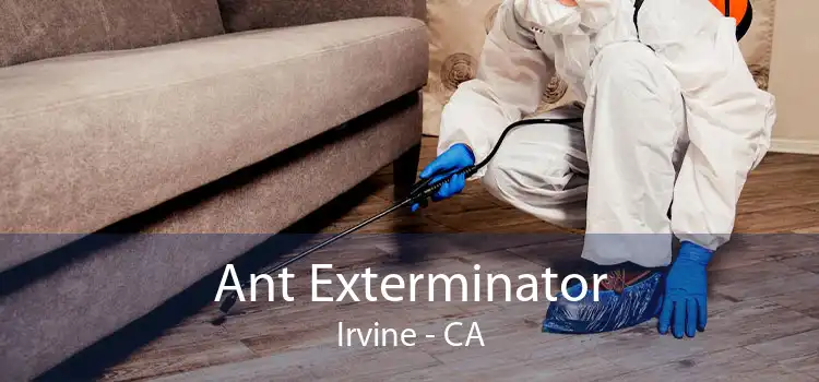 Ant Exterminator Irvine - CA