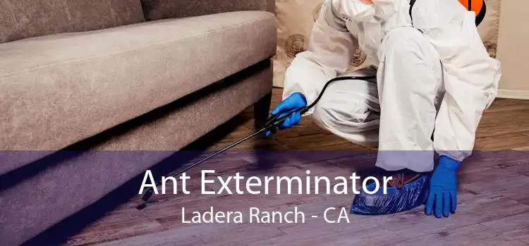 Ant Exterminator Ladera Ranch - CA