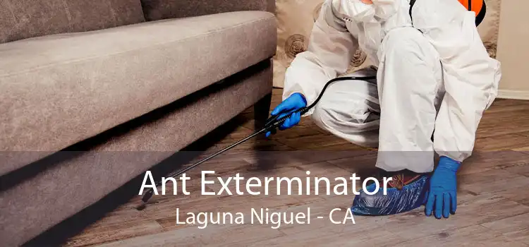 Ant Exterminator Laguna Niguel - CA