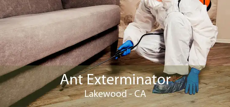 Ant Exterminator Lakewood - CA