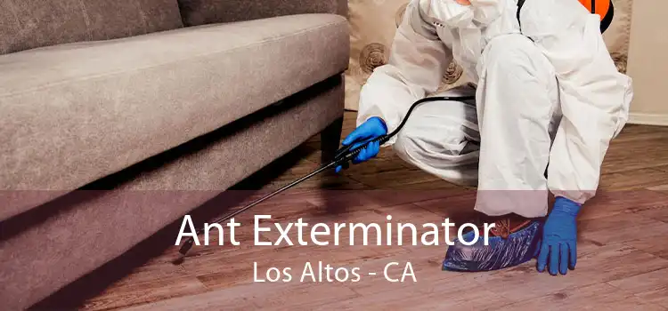 Ant Exterminator Los Altos - CA