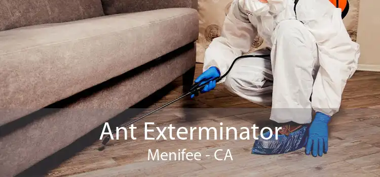 Ant Exterminator Menifee - CA
