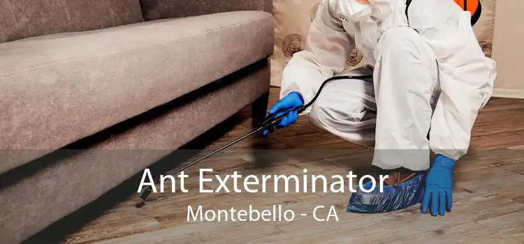 Ant Exterminator Montebello - CA