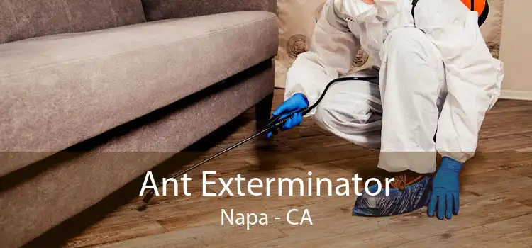 Ant Exterminator Napa - CA