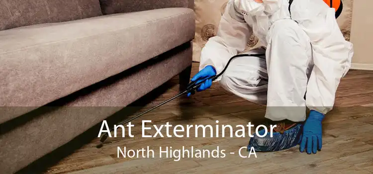 Ant Exterminator North Highlands - CA