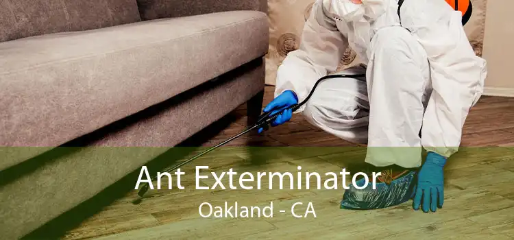 Ant Exterminator Oakland - CA