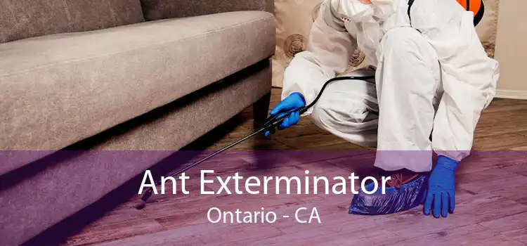 Ant Exterminator Ontario - CA