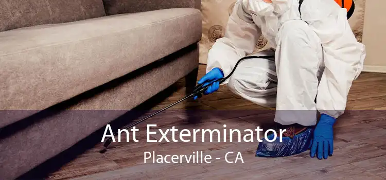 Ant Exterminator Placerville - CA
