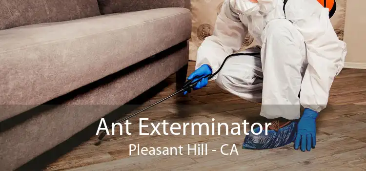 Ant Exterminator Pleasant Hill - CA