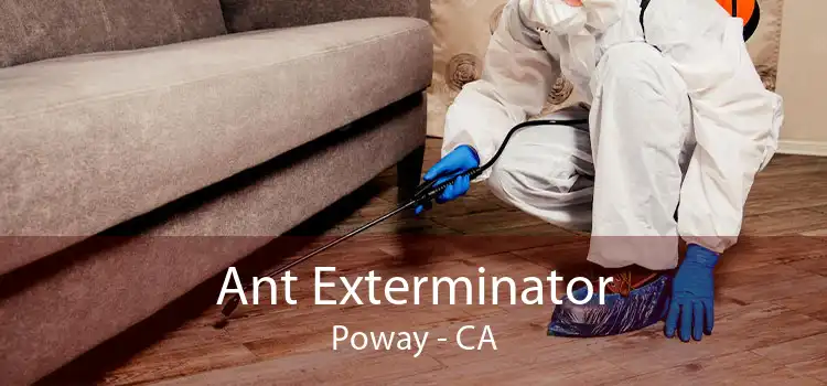 Ant Exterminator Poway - CA