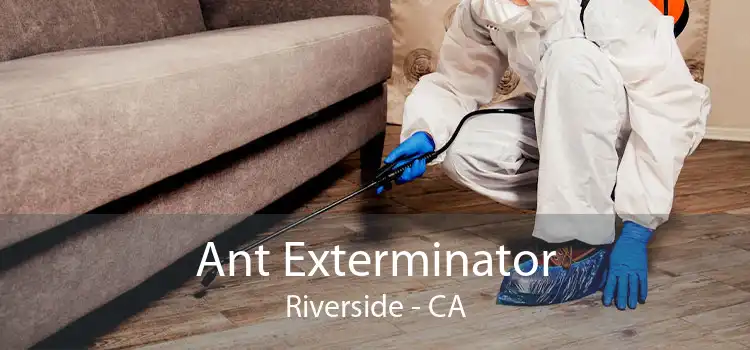 Ant Exterminator Riverside - CA