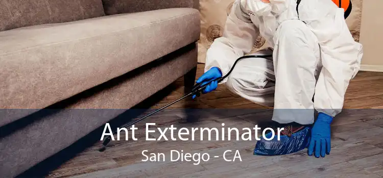 Ant Exterminator San Diego - CA