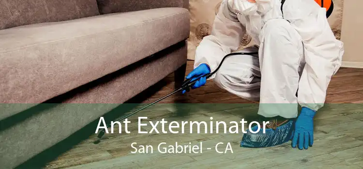 Ant Exterminator San Gabriel - CA