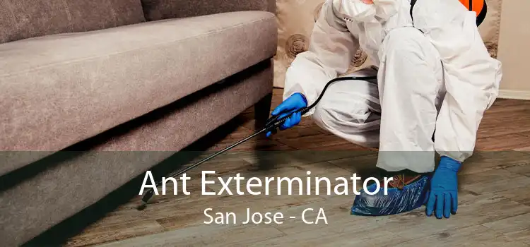 Ant Exterminator San Jose - CA