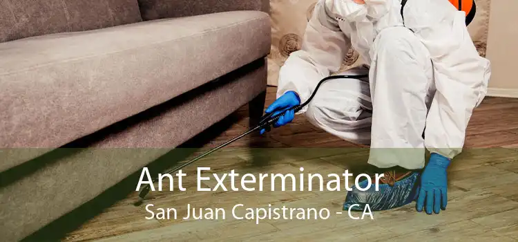 Ant Exterminator San Juan Capistrano - CA