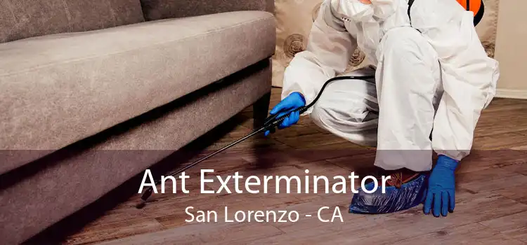 Ant Exterminator San Lorenzo - CA