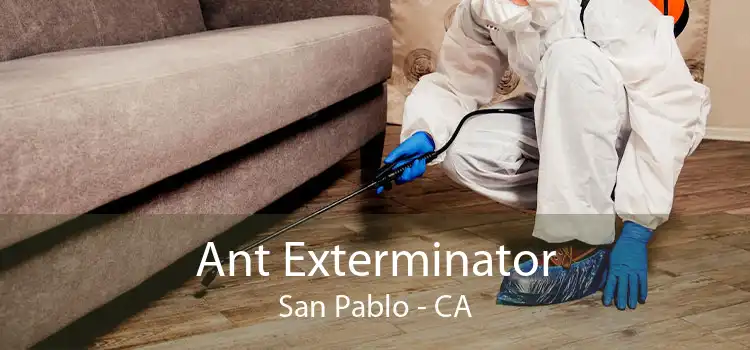 Ant Exterminator San Pablo - CA