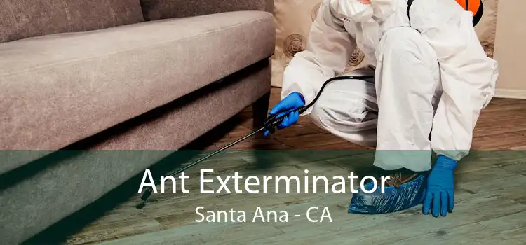 Ant Exterminator Santa Ana - CA