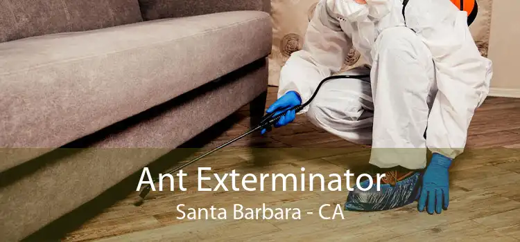 Ant Exterminator Santa Barbara - CA