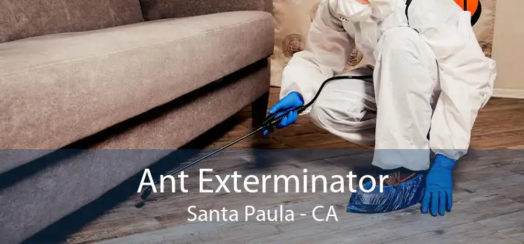 Ant Exterminator Santa Paula - CA