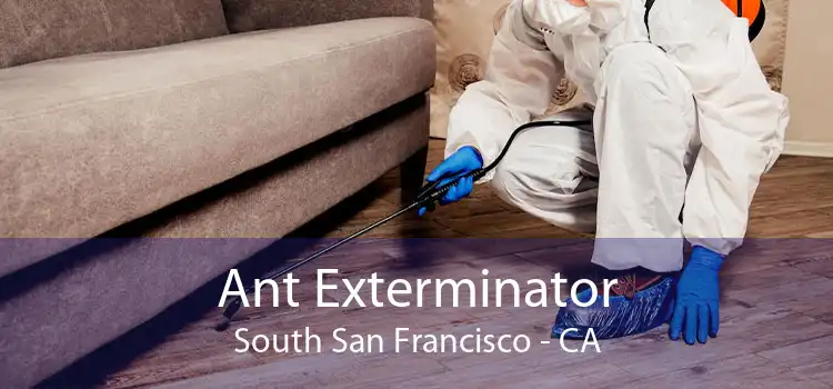 Ant Exterminator South San Francisco - CA