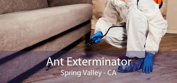 Ant Exterminator Spring Valley - CA