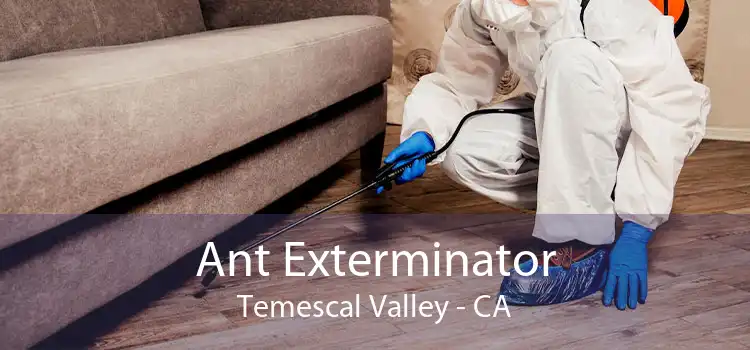 Ant Exterminator Temescal Valley - CA