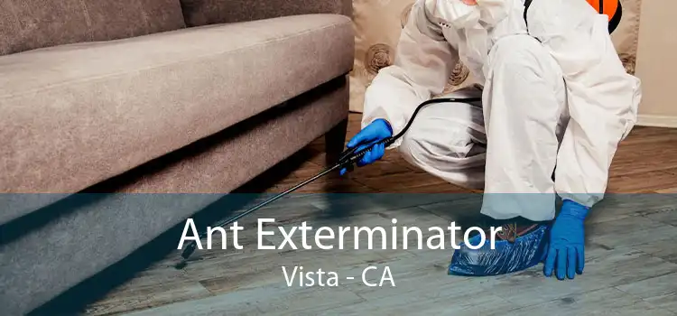 Ant Exterminator Vista - CA