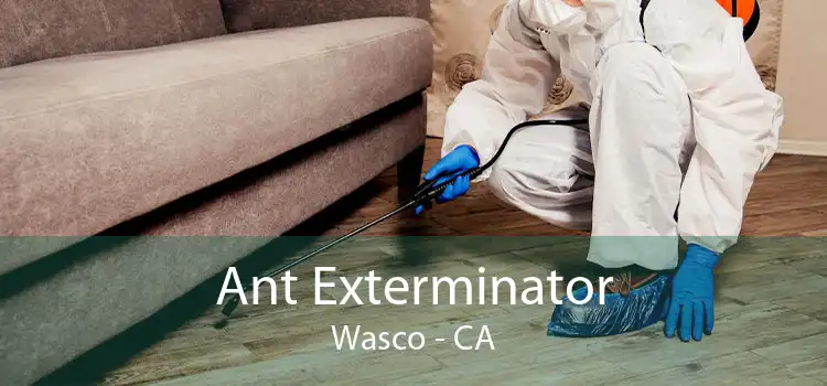 Ant Exterminator Wasco - CA