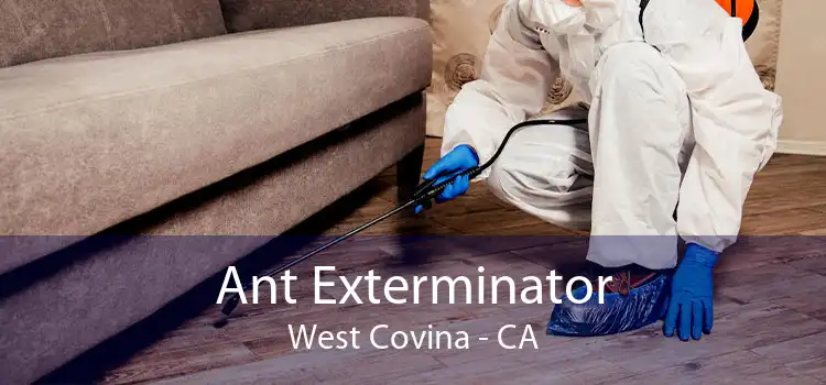 Ant Exterminator West Covina - CA