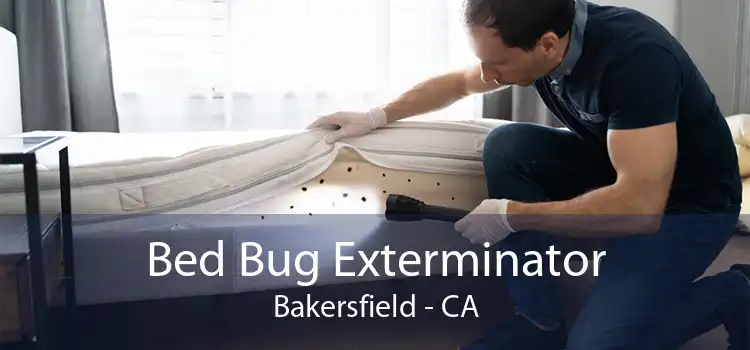 Bed Bug Exterminator Bakersfield - CA