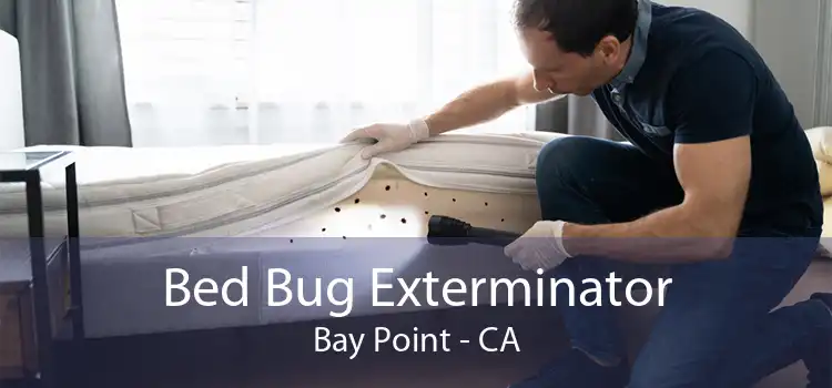 Bed Bug Exterminator Bay Point - CA