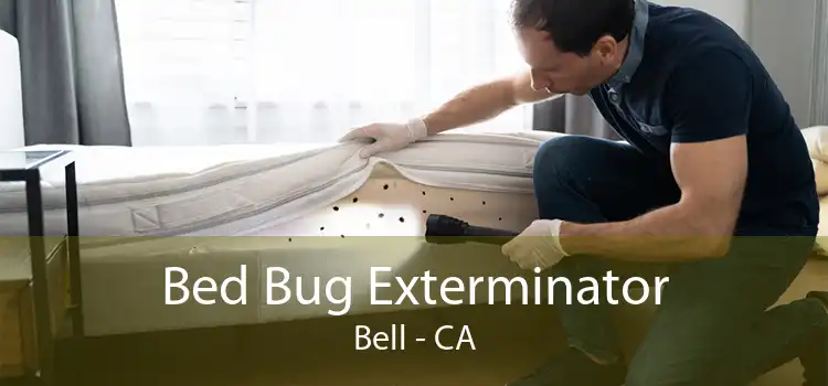 Bed Bug Exterminator Bell - CA