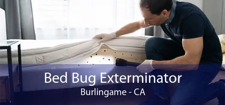 Bed Bug Exterminator Burlingame - CA