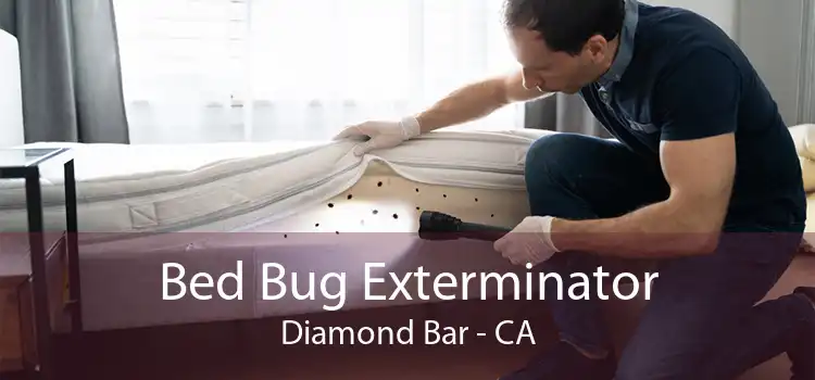 Bed Bug Exterminator Diamond Bar - CA