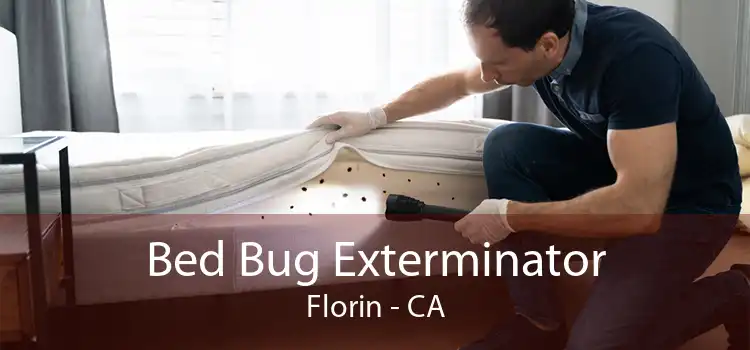 Bed Bug Exterminator Florin - CA