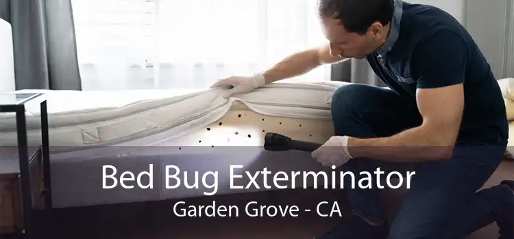 Bed Bug Exterminator Garden Grove - CA