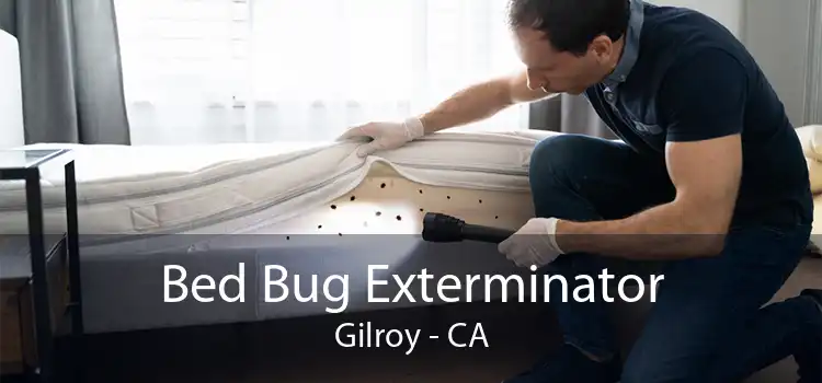 Bed Bug Exterminator Gilroy - CA