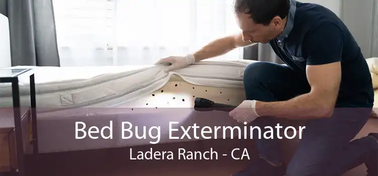 Bed Bug Exterminator Ladera Ranch - CA