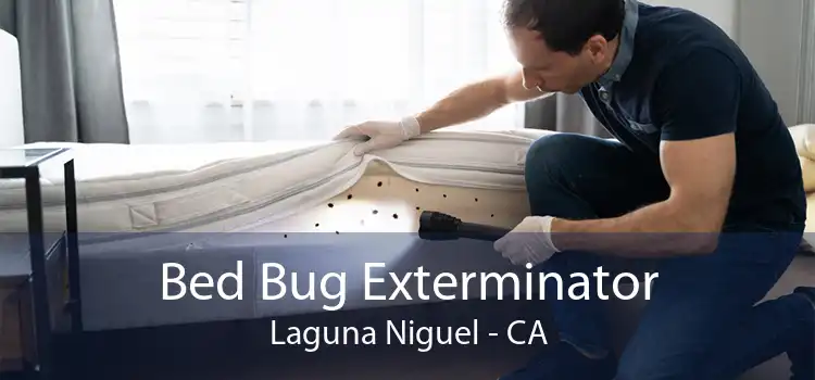 Bed Bug Exterminator Laguna Niguel - CA