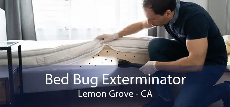 Bed Bug Exterminator Lemon Grove - CA