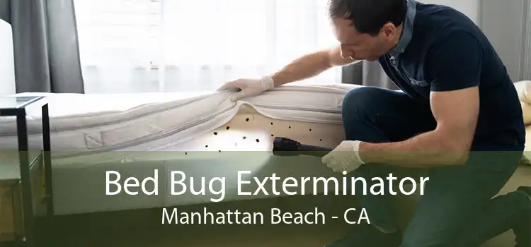 Bed Bug Exterminator Manhattan Beach - CA