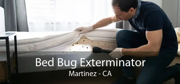 Bed Bug Exterminator Martinez - CA