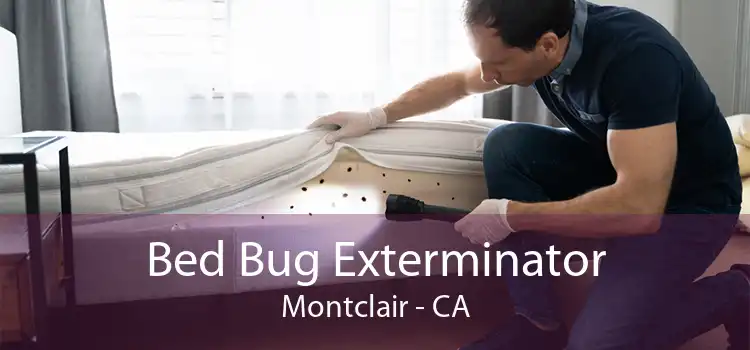 Bed Bug Exterminator Montclair - CA
