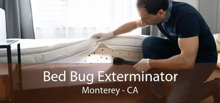 Bed Bug Exterminator Monterey - CA